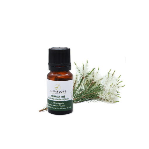 ALMAFLORE Huile Essentielle Arbre À Thé, 10ml